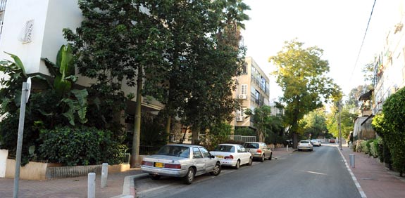 לוחמי סיני רמת גן / צלם: תמר מצפי
